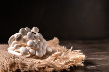 Closeup of a bunch of shimeji mushrooms on wooden background, with selective focus