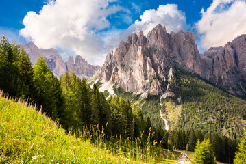 Dolomite alps in Italy, high mountain with green forest - obrazy, fototapety, plakaty
