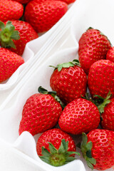 ふるさと納税の返礼品のいちご