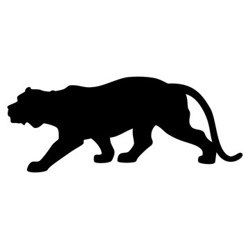 Tiger animal silhouette. Vector image