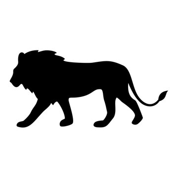 Lion Animal Silhouette. Vector image