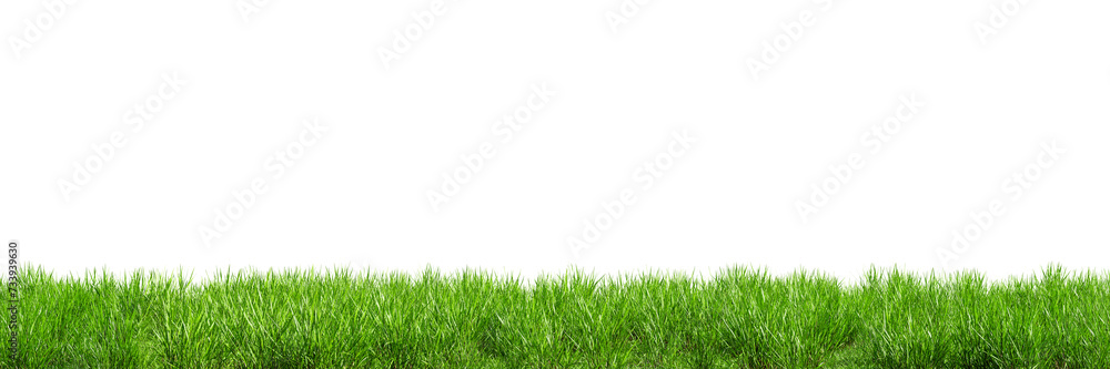 Poster seamless green lawn border isolated on transparent background. 3d render. 3d illustration.
