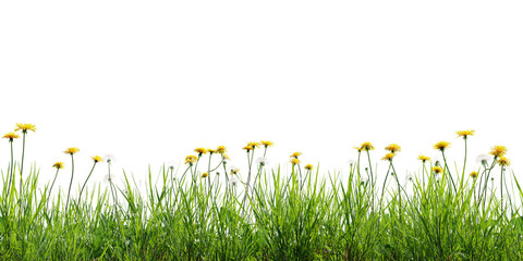 Seamless green meadow border with dandelions, isolated on transparent background. 3D render. 3D illustration. - 733939691