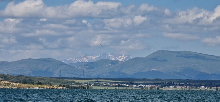 birds on lake sevan armenia, cormorants and sea gulls