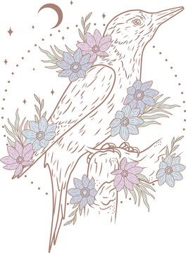 bird floral arrangement night sky clip art preview