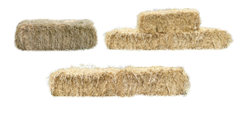 collage dry golden yellow haystack on transparent background