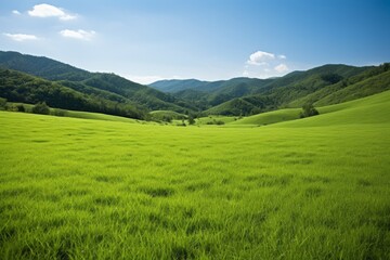Fototapeta na wymiar A verdant landscape with rolling hills and a blue sky