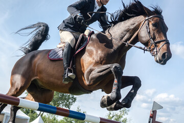 Equestrian Sports photo-themed: Horse jumping, Show Jumping, Horse riding. Jockey competing in horse jumping competition.