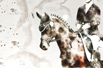 Horse dressage impressions in watercolor