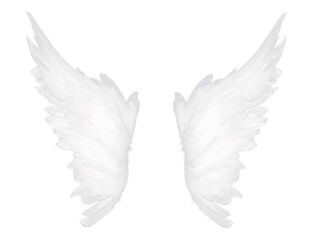 Angel wing. White wing on transparent background, Magic wings isolated, wing png, white feather png, photoshop overlay	