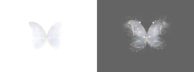 Angel wing. White wing on transparent background, Magic wings isolated, wing png, white feather...