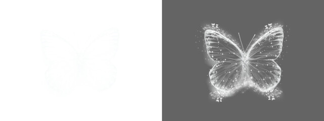 Angel wing . White wing on transparent background, Magic wings isolated, wing png, white feather...
