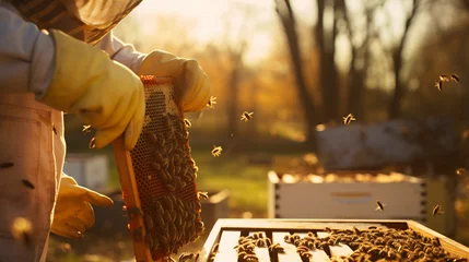 Zelfklevend Fotobehang The beekeeper pulls © Fauzia