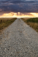 Dirt road through fields into the sky