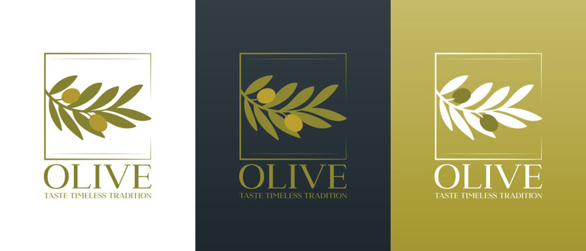 Vector logo of olive branch with leaves. Modern hand drawn vector olive oil icons. Branding concept for olive oil company, organic, eco-friendly products, wellness, beauty, culinary services