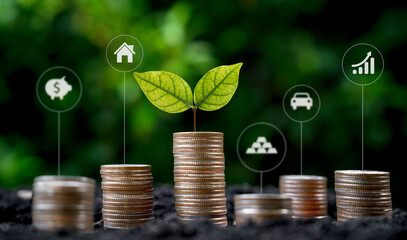 Green leaves growing on the top of coins stacked with mortgage icon include gold car house and...