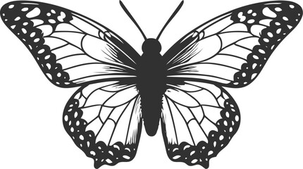 Abstract modern seamless pattern of monarch butterfly