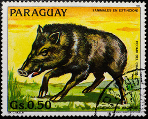 Uruguay postage stamp of endangered animals
