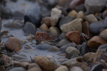 Macro of pile of multicoloured rocks with small puddle