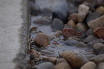 Macro of pile of multicoloured rocks with small puddle