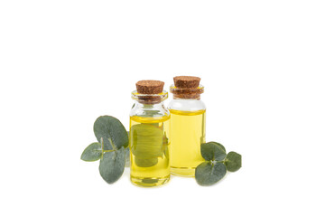 Eucalyptus essential oil in a glass bottle with green eucalyptus leaves isolated on white background. Aromatherapy. Spa. Concept of natural cosmetology and beauty industry.