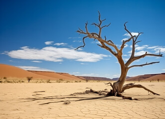 Dry tree twigs or Dead tree. Minimal background for summer concept