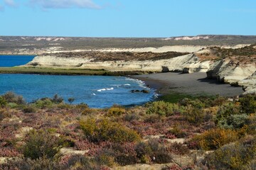 Fototapeta na wymiar Valdes; Peninsula Valdes; Patagonia: panorami; natura;