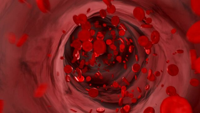 Blood cells flowing through the vein. Hemoglobin, corpuscle, bloodstream, blood plasma, arteries.