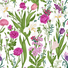 Floral seamless pattern with summer and spring plants. Botanical illustration. Pink garden flowers. - 733987463