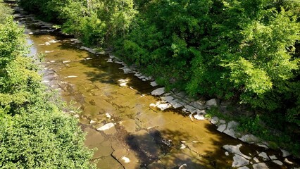 Gentle clear running creek with green trees in countryside New York State