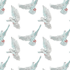 Watercolor birds flying pigeons paattern. Birds print. Hand painted illustration in natural colors on white backround.