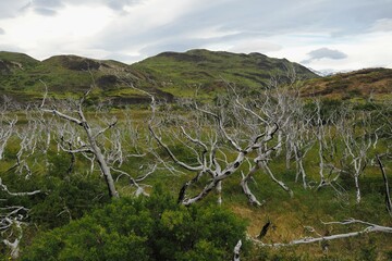 Patagonia:
panorami;
natura;
torres del paine;