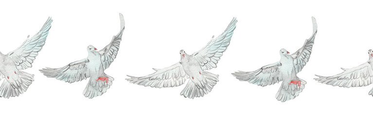 Watercolor birds flying pigeons border. Birds seamless border. Hand painted illustration in natural colors on white backround.