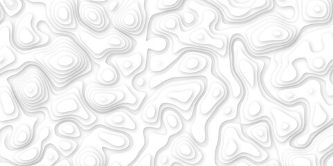 white paper and relief wave and cruve line paper cut background. soft white color seamless pattern, vector illustration, multi layer cutout banner design. topo counter map in 3d view.