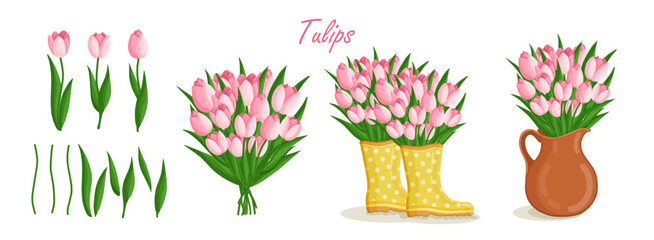 Spring bouquets with tulips and elements. Floral plants with bright flowers. Botanical vector illustration on isolated background for women's day, mother's day, easter and other holidays. - obrazy, fototapety, plakaty