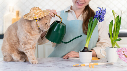 Smiling young woman taking care of plant and watering it at home, a cute cat wearing straw hat...