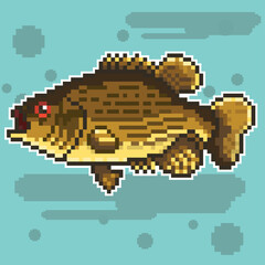 river fish,pixel art,pixel art vector in illustrator,fish,fishing,freshwater,vectorized pixel