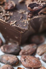Cocoa beans with chocolate on a white background. Shalllow dof.