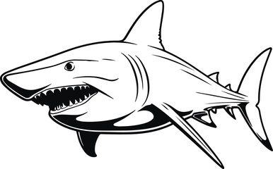 Shark, angry shark, megalodon, Vector Illustration