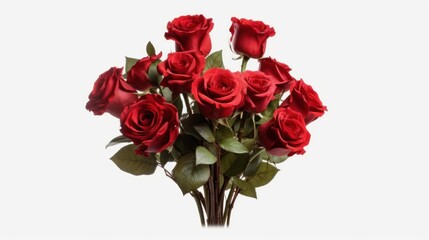 Flowers creative composition. Bouquet of red roses rose plant with leaves isolated on white background.