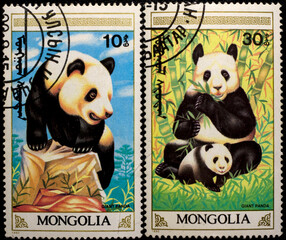 Postage stamp Mongolia, panda bear, 1990