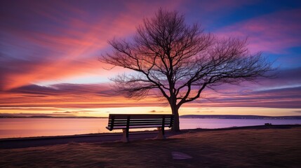 relaxation bench silhouette