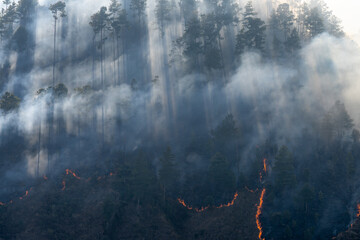 Wildfire in the Hills of Nepal