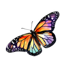 Butterfly Watercolor Illustration PNG, Transparent Background, Clipart