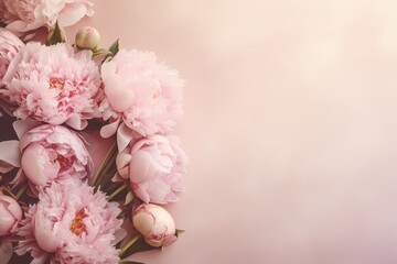 A top-down view of sunlit peonies on a soft pastel backdrop, featuring ample copy space for text.