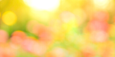 abstract bokeh background with spring bokeh background
