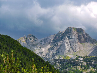 Shades of the nature.