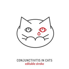 Conjunctivitis in cats. Linear icon, pictogram, symbol.