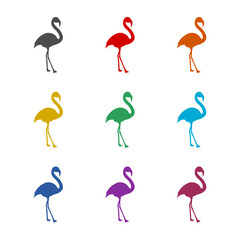Flamingos  icon isolated on white background. Set icons colorful