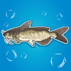 Catfish Pixel Art,Fishing Fish,River Fish vector,Fish Pixel art,Pixel vector format